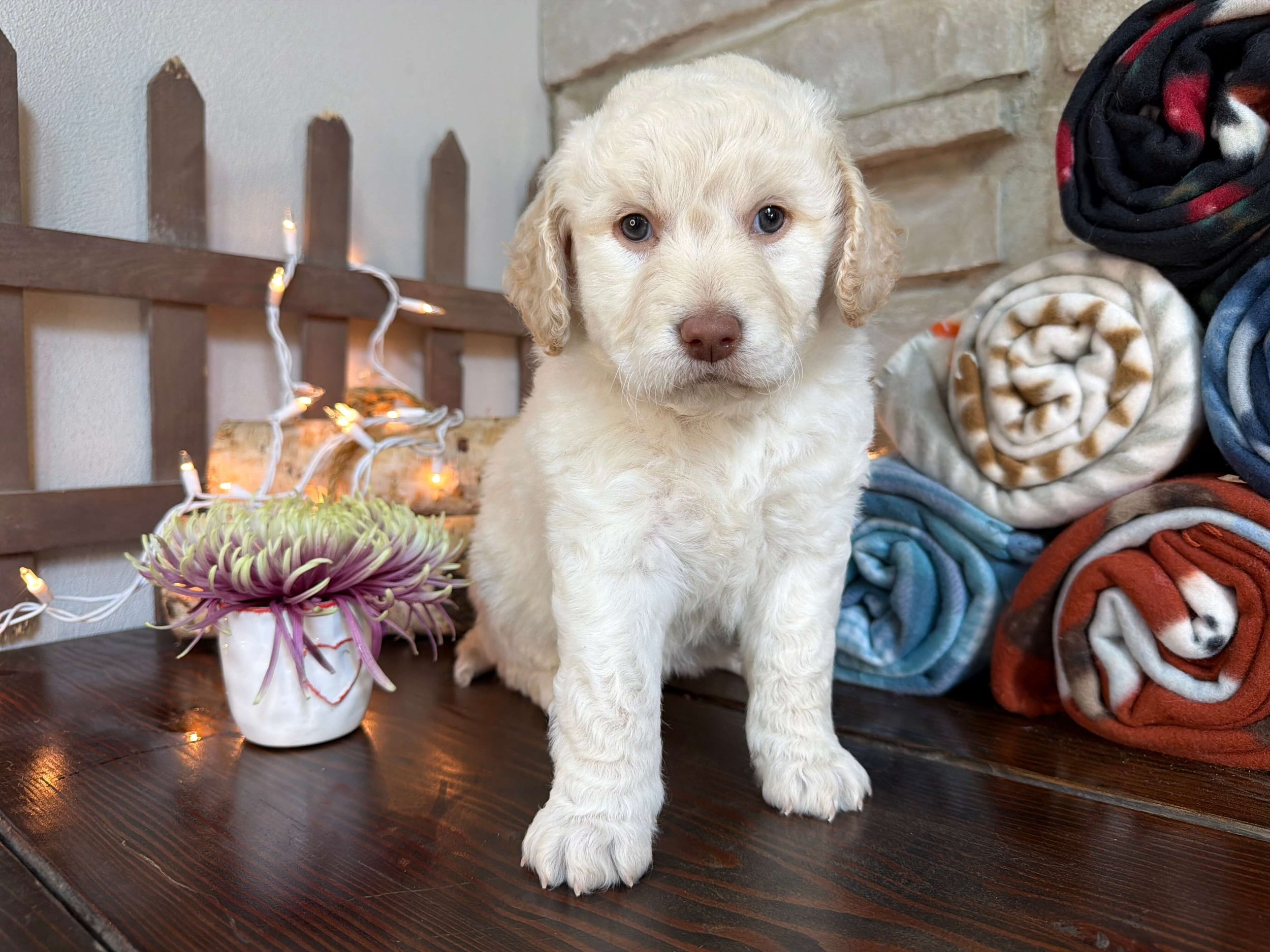 Regina 4.jpeg