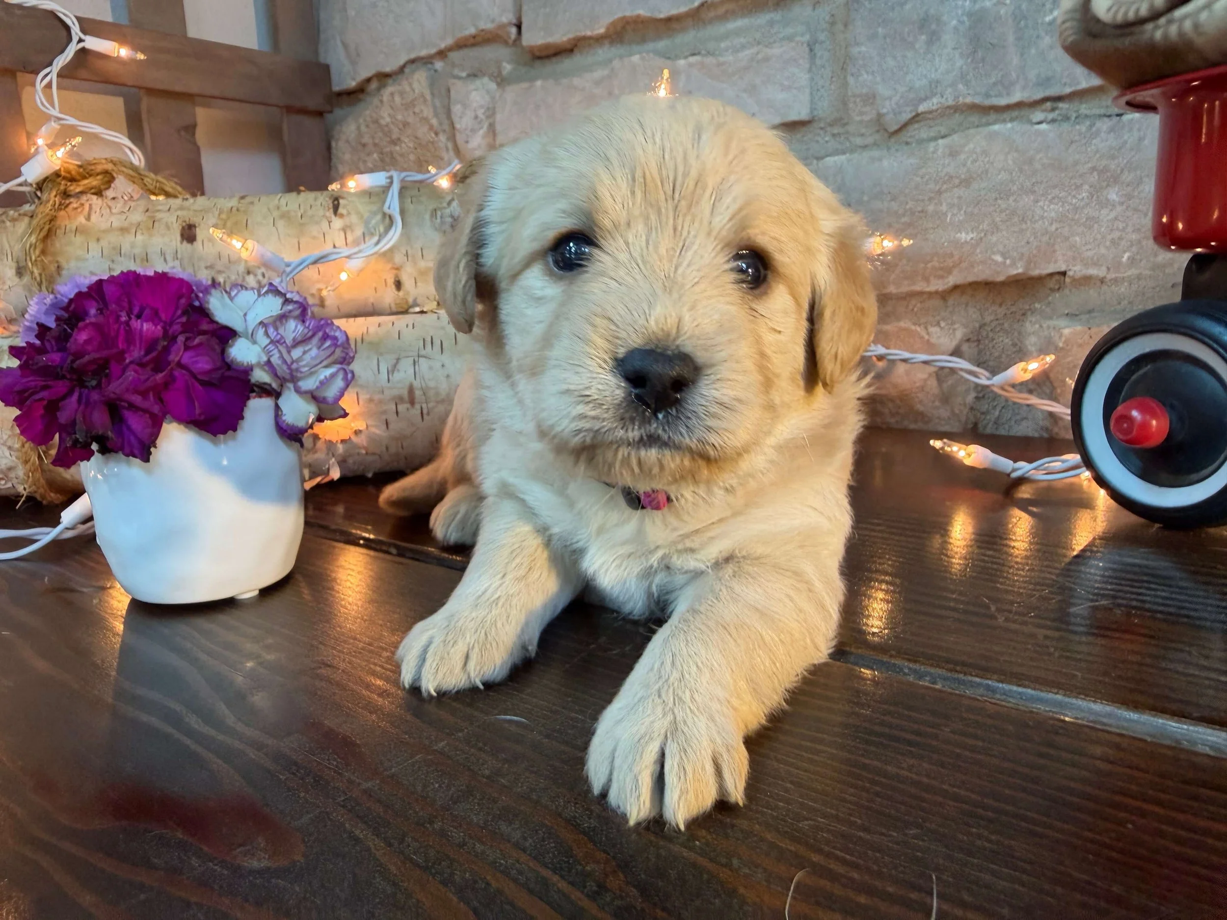 Chloe (Girl)