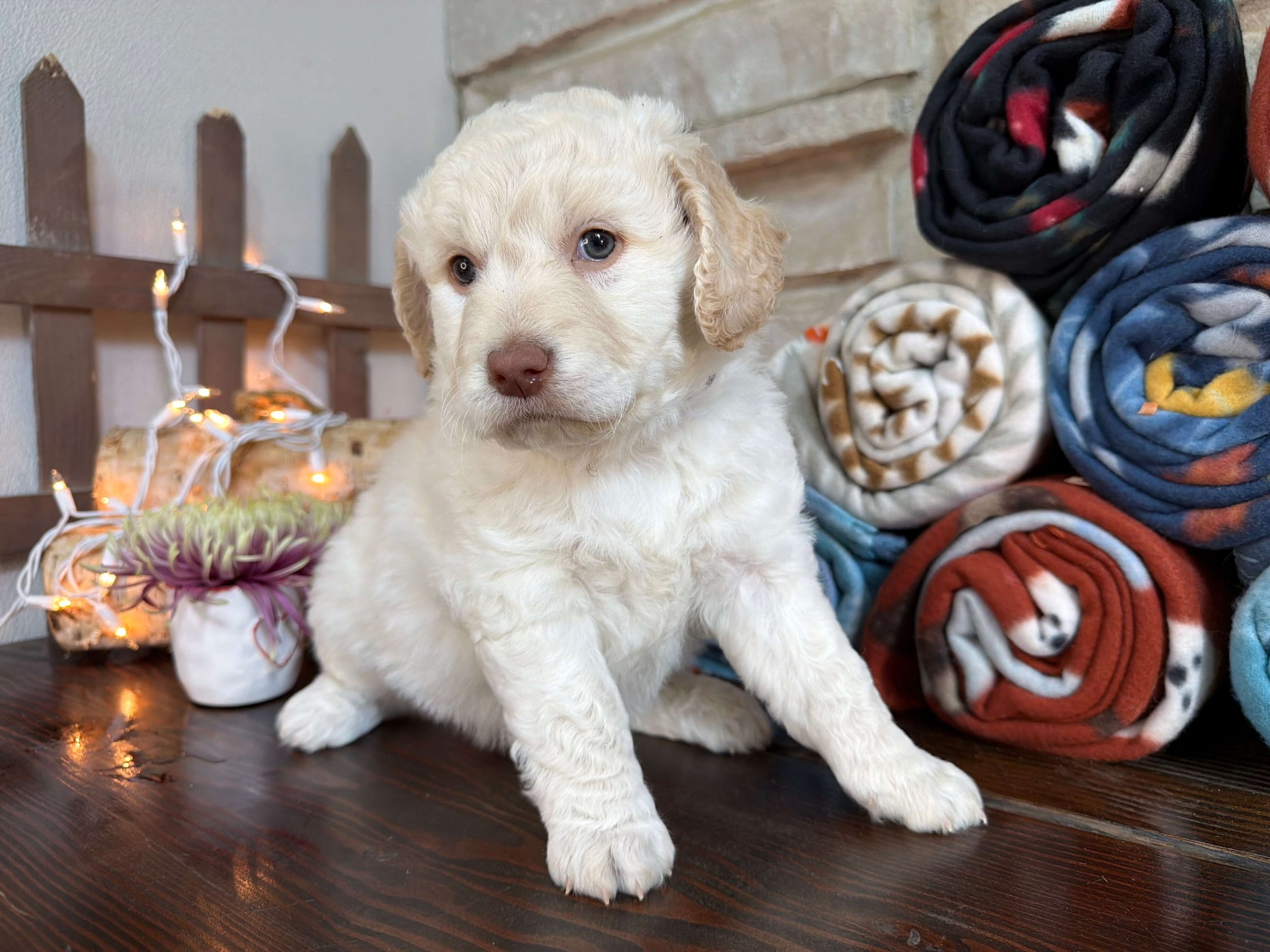 Regina 3.jpeg