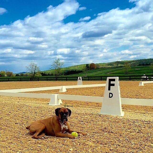 Outdoor Dressage Ring