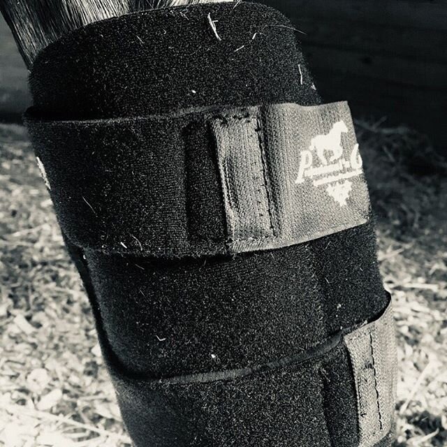 Our @profchoice Ice Boots are an integral part of our care routine at Morningside Eventing. The neoprene exterior insulates the frozen gel pockets keeping the boots colder longer, thus increasing the therapy time. And the smooth nylon lining eliminat