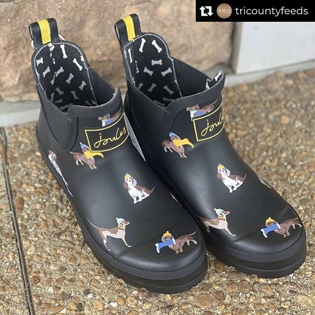 How perfect are these for these rainy summer day&rsquo;s?! ☔️☔️☔️
Repost from @tricountyfeeds
&bull;
@joules wellies make quite the splash. Ideal for walking the dogs or puttering about in the garden. Pick-up a pair now from the feed store. #igotitat