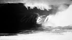 CAVE  - Nic, Albee &amp; Meister