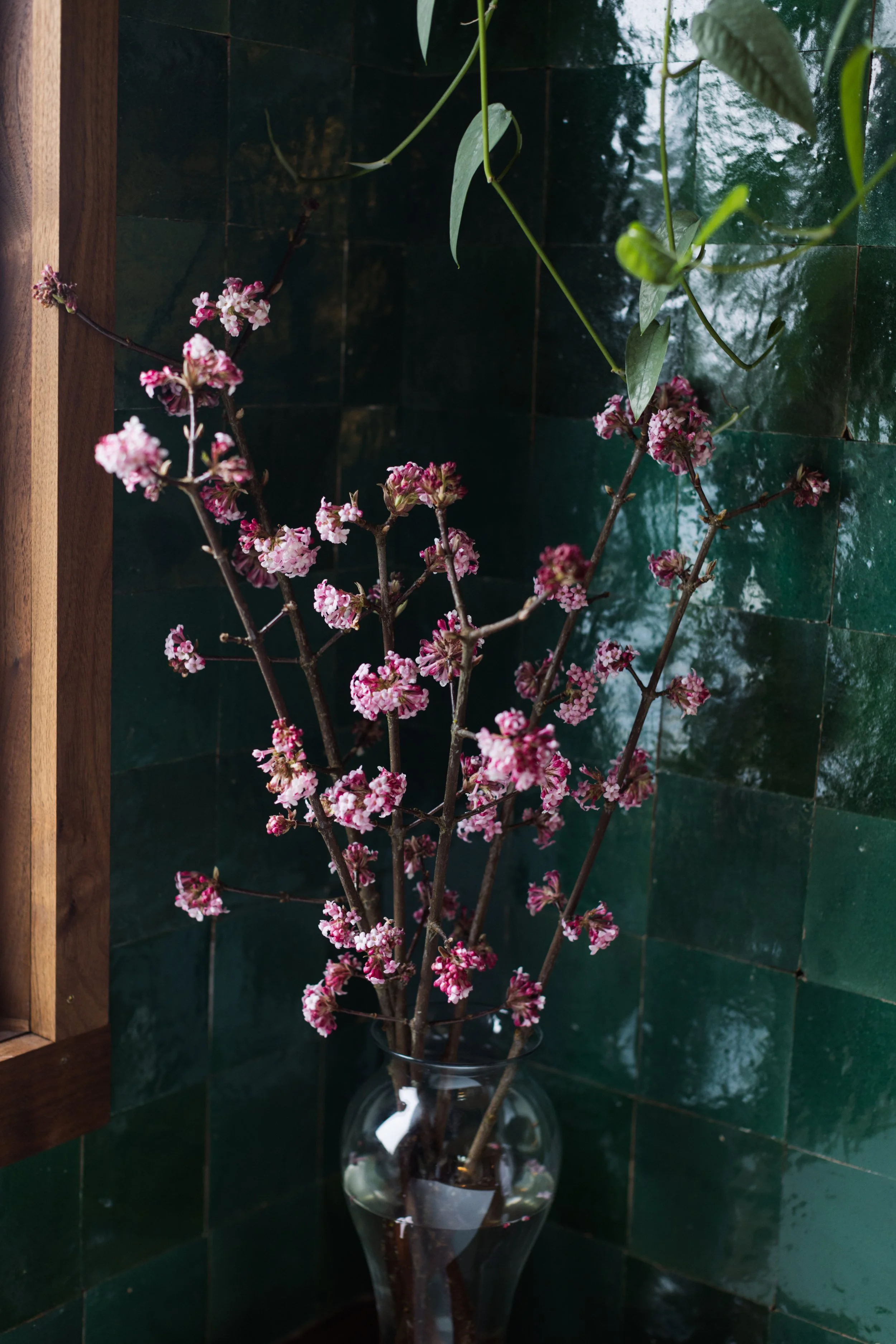 Spring blooming branches