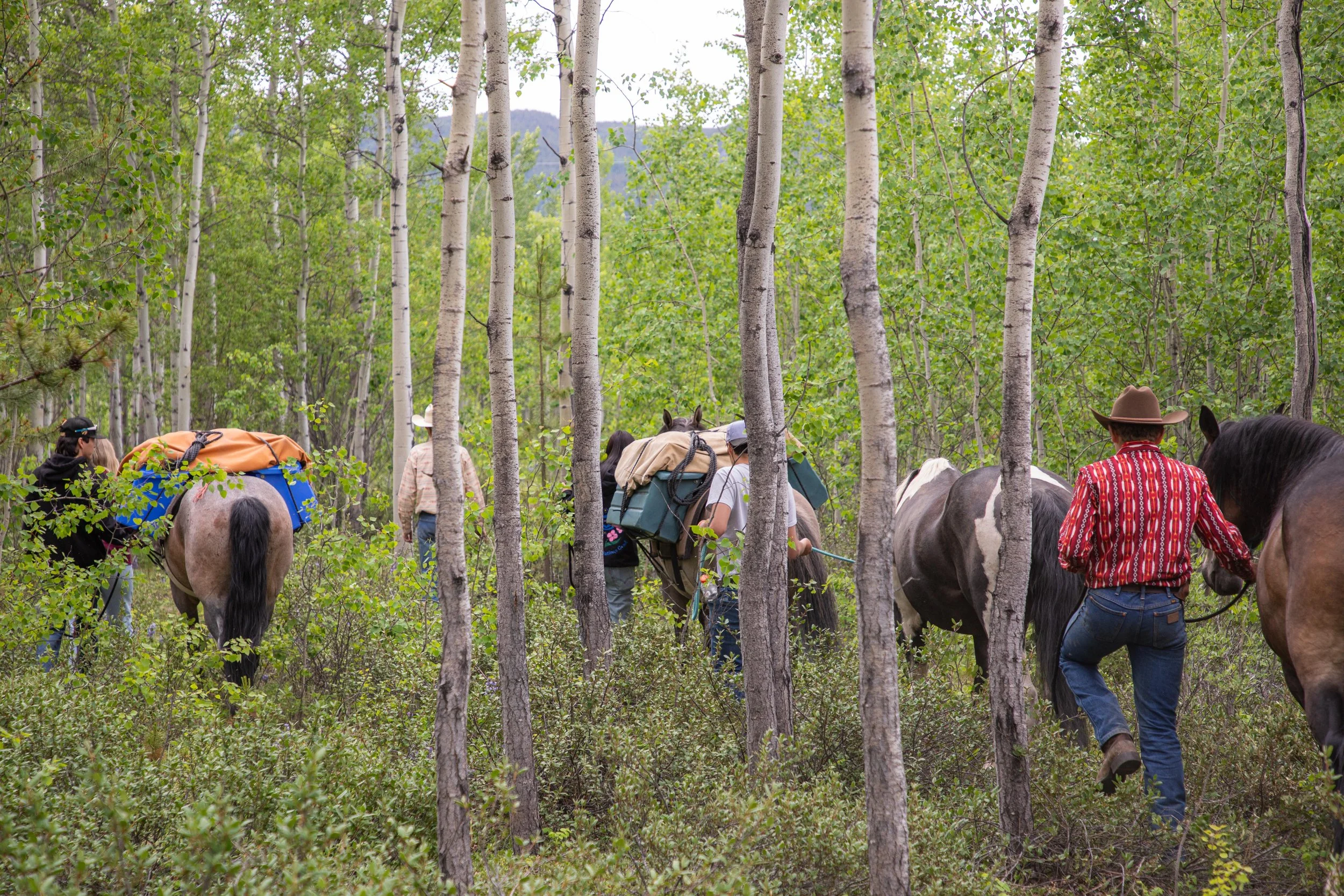 June 25 Horse Packing LoRes-18.jpg