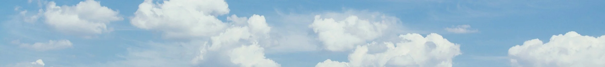 image-asset.jpg