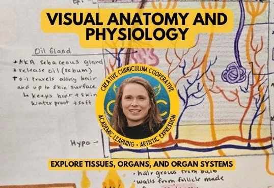 visual-anatomy-physiology.jpg
