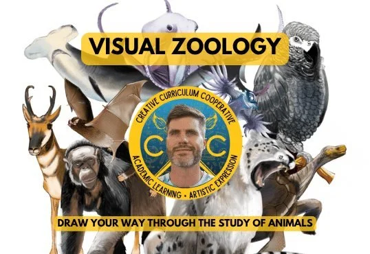 visual-zoology.jpg