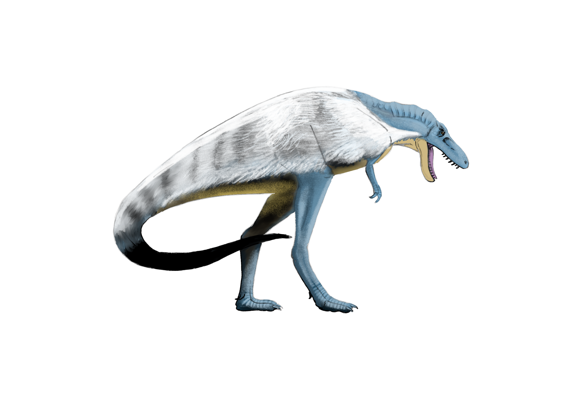 Nanotyrannus.png
