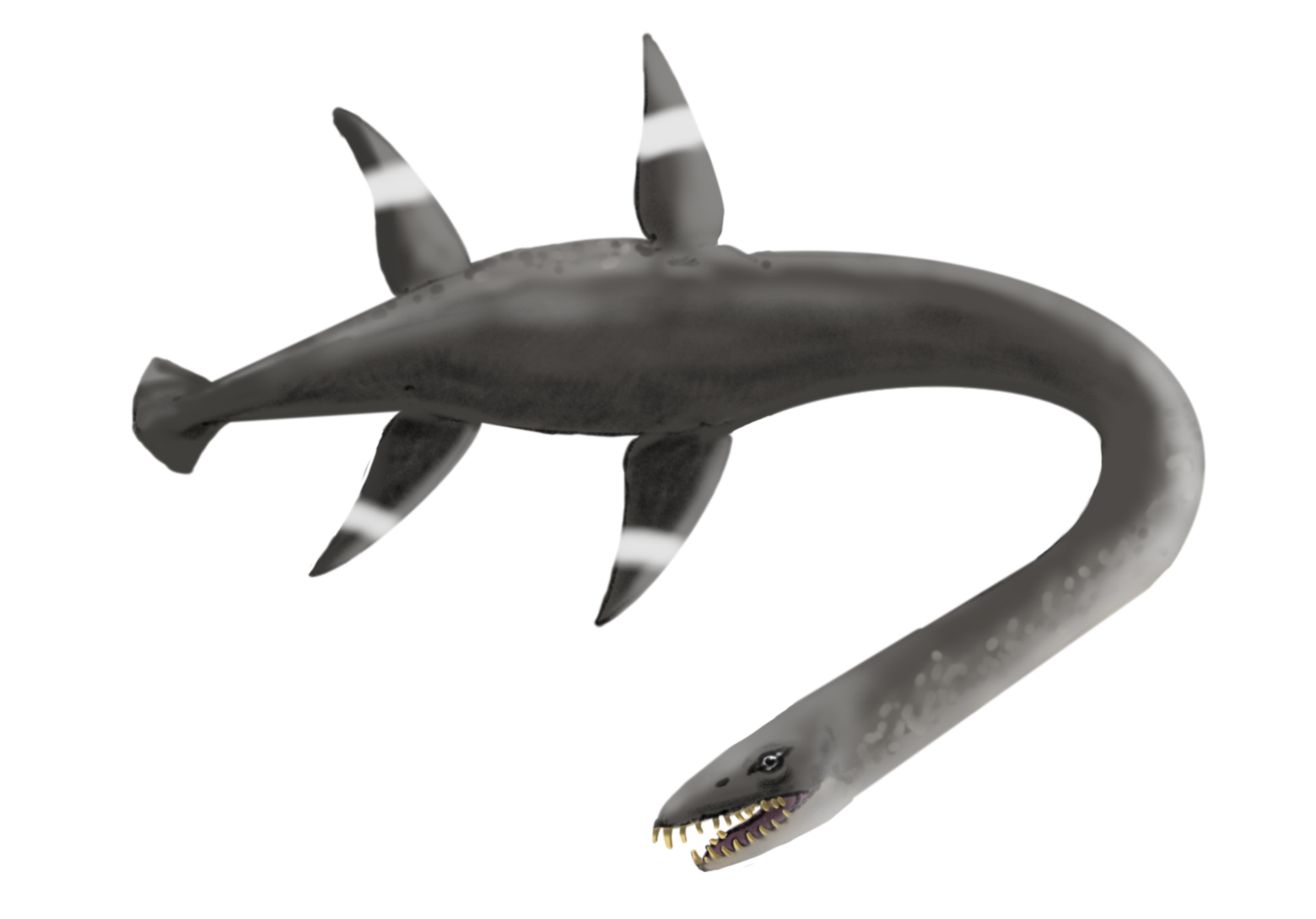 Traskasaura_C.png