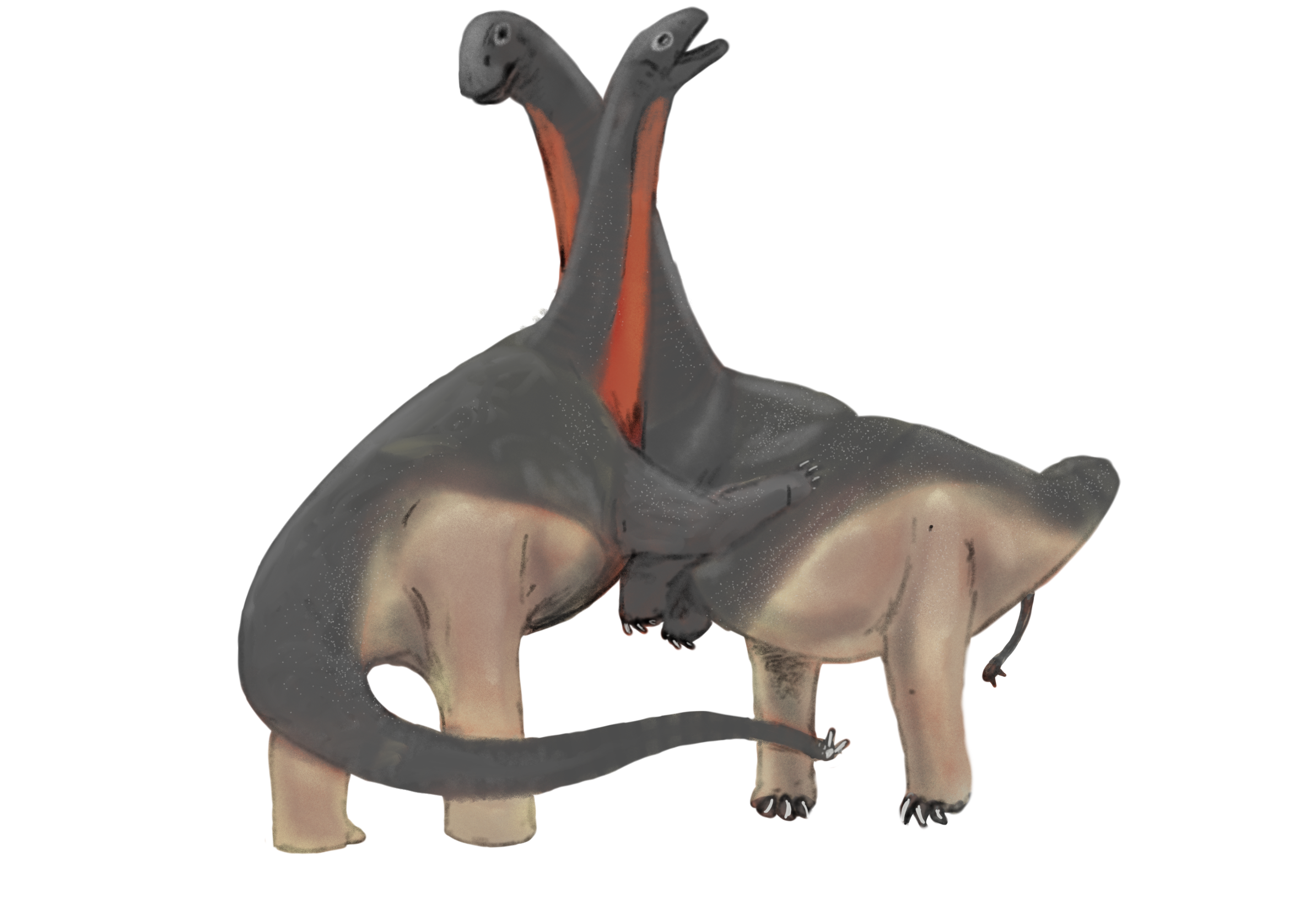 Shunosaurus.png