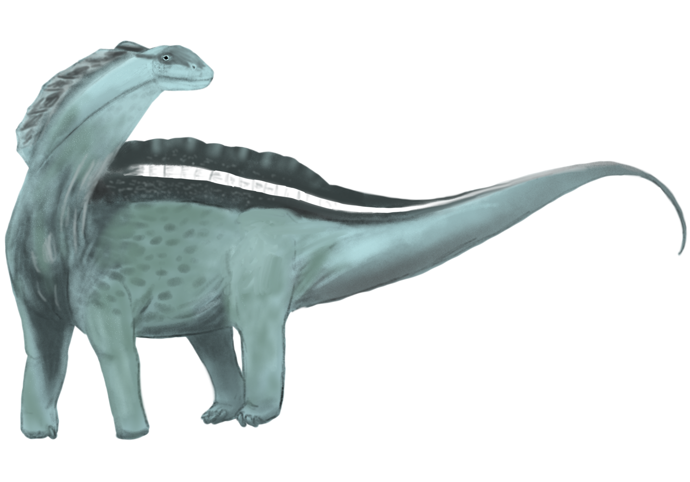 Amargosaurus.png