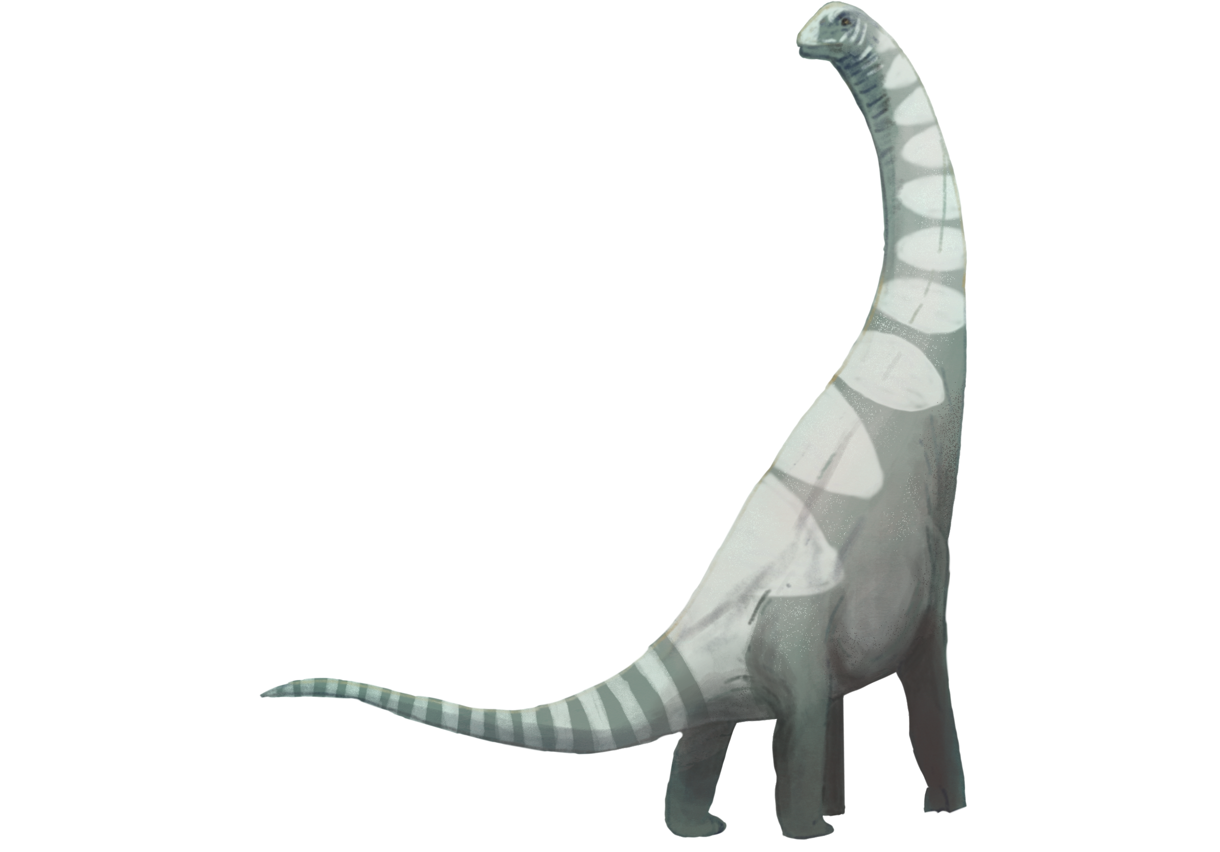 Giraffatitan_2026.png