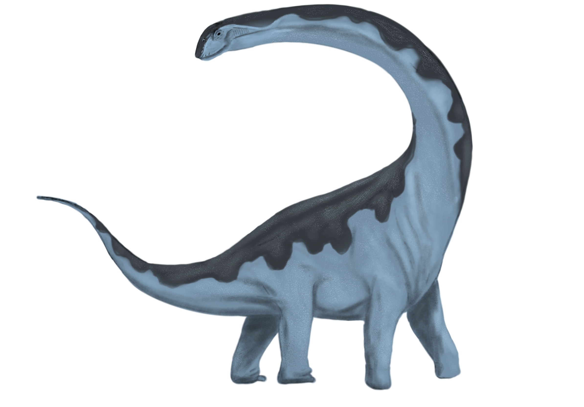 Dreadnoughtus.png