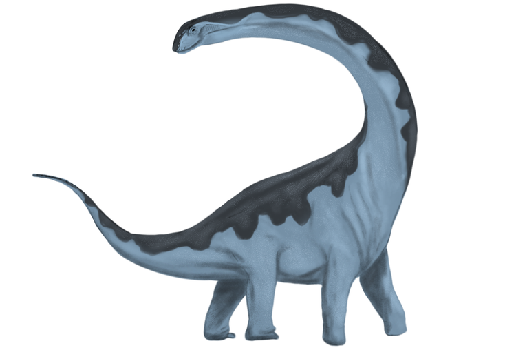 Dreadnoughtus