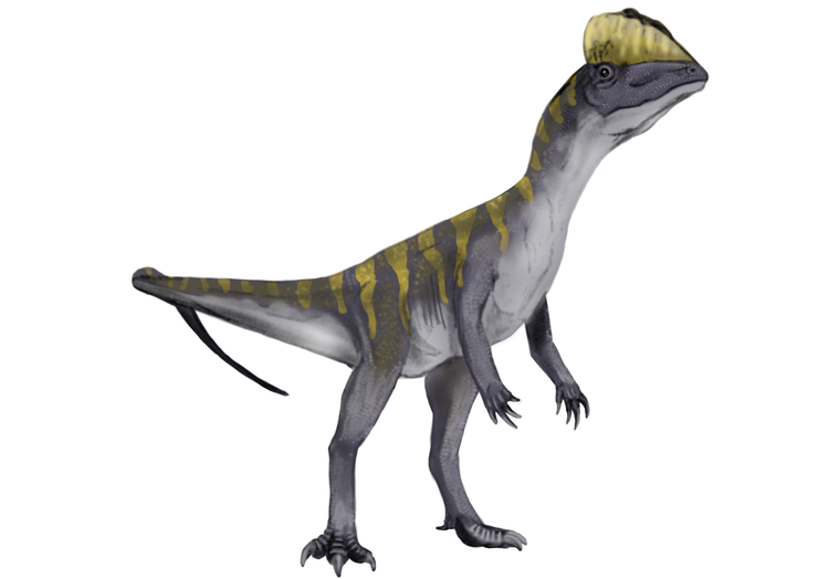 Dilophosaurus