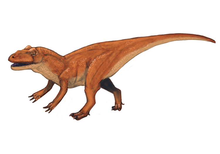Allosaurus