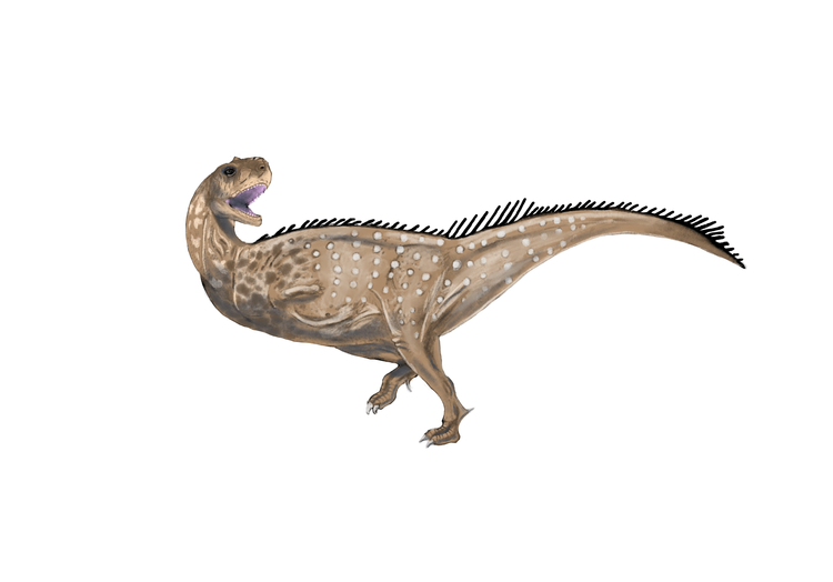 Majungasaurus