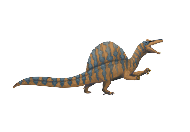 Spinosaurus aegyptiacus