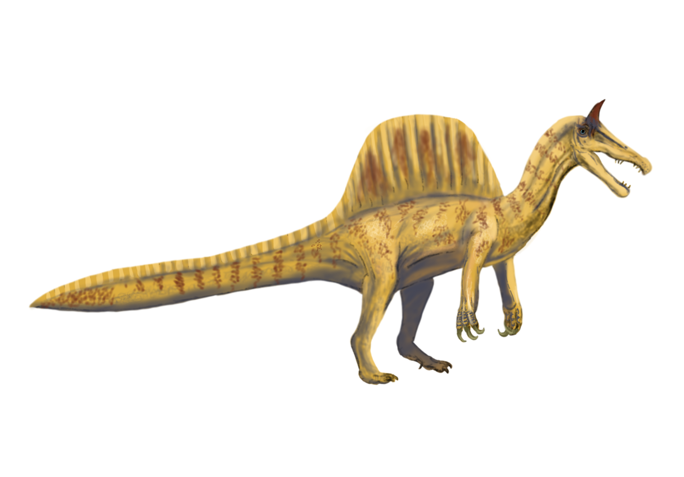 Spinosaurus mirabilis by Teacher Ben