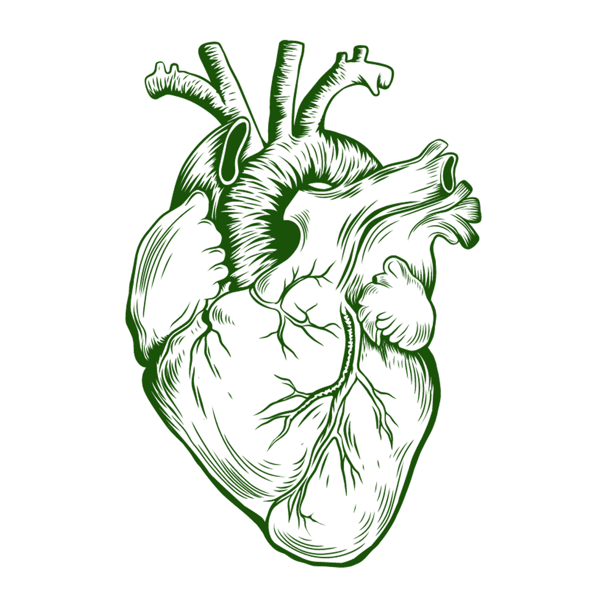 Roots For Health