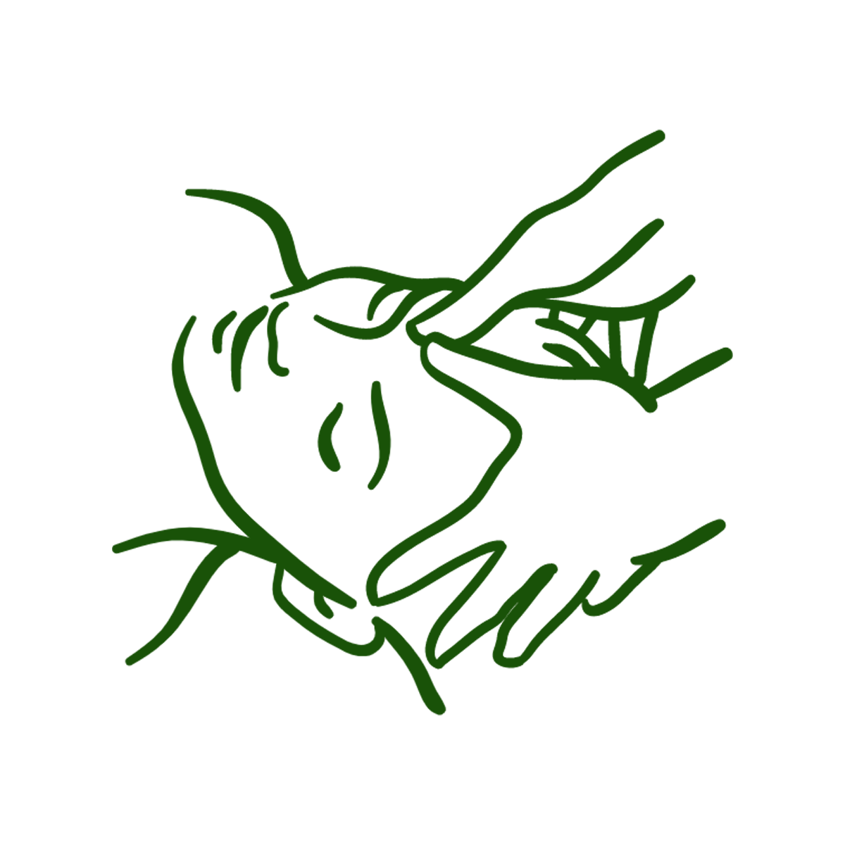 Roots For Health