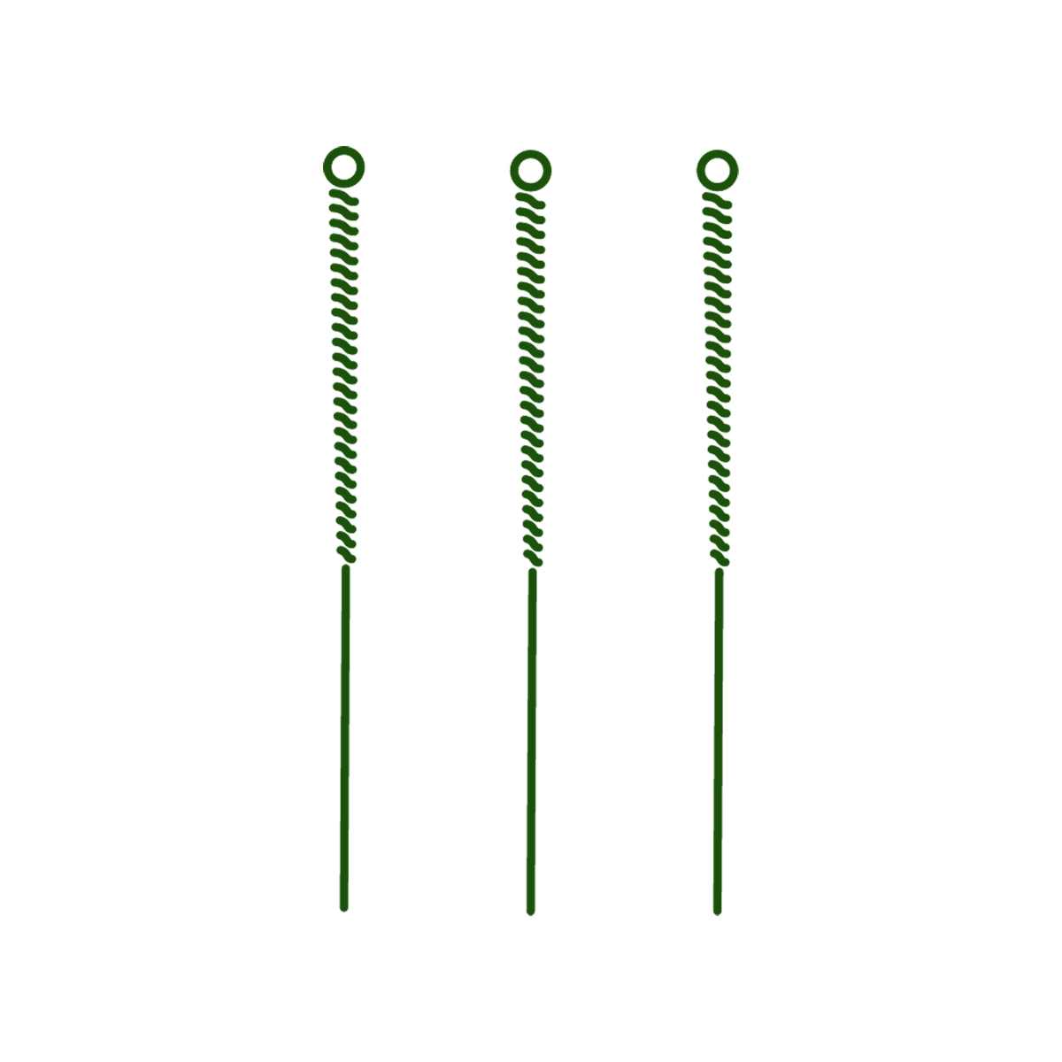 Roots For Health