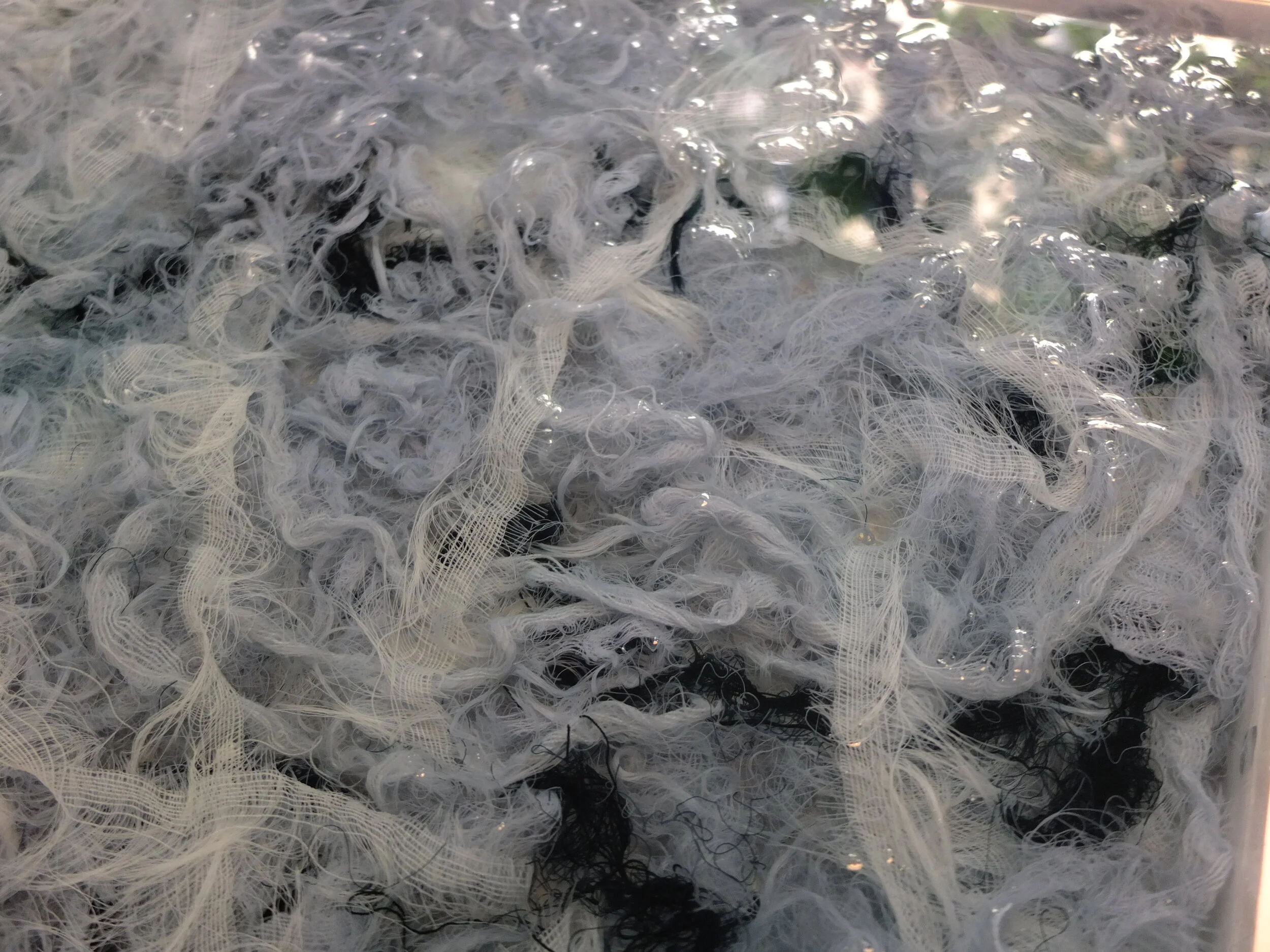DSCF5745.JPG