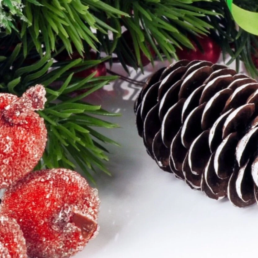 December 2019 E-News