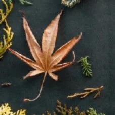 September 2019 E-News