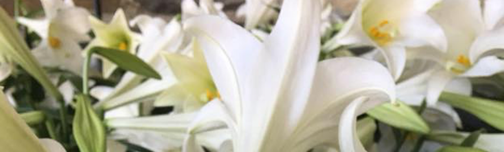 Third Sunday of Easter and Updates from the Standing Committee