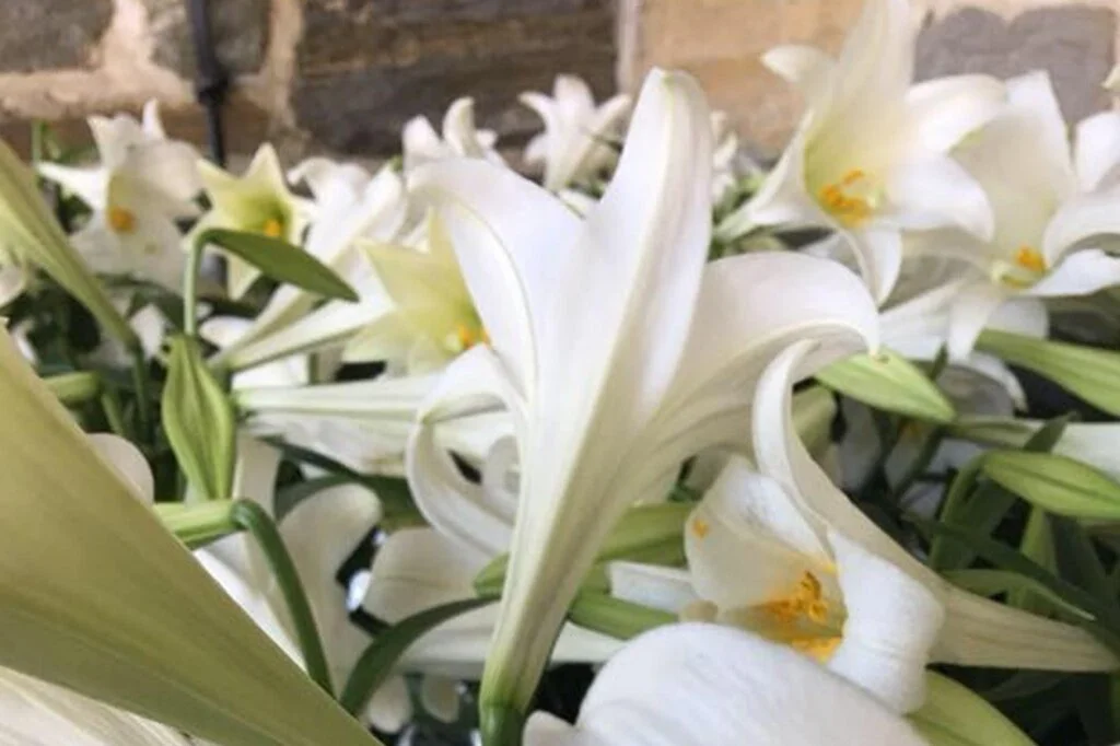 Fifth Sunday of Easter