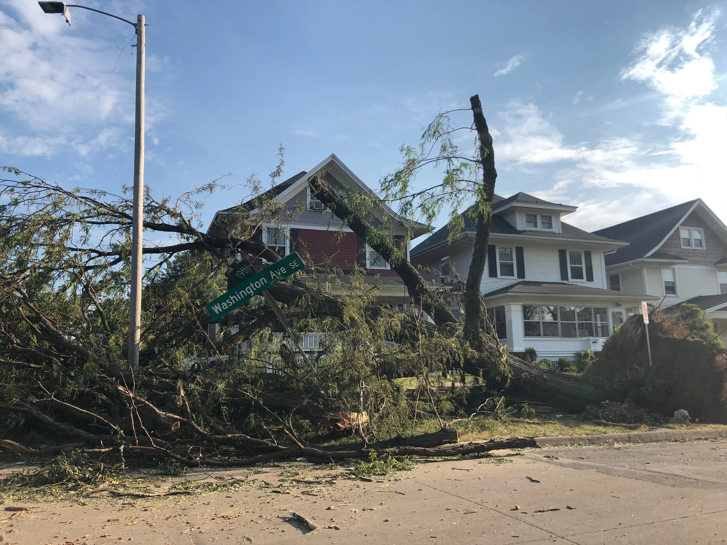 The 11th Sunday after Pentecost