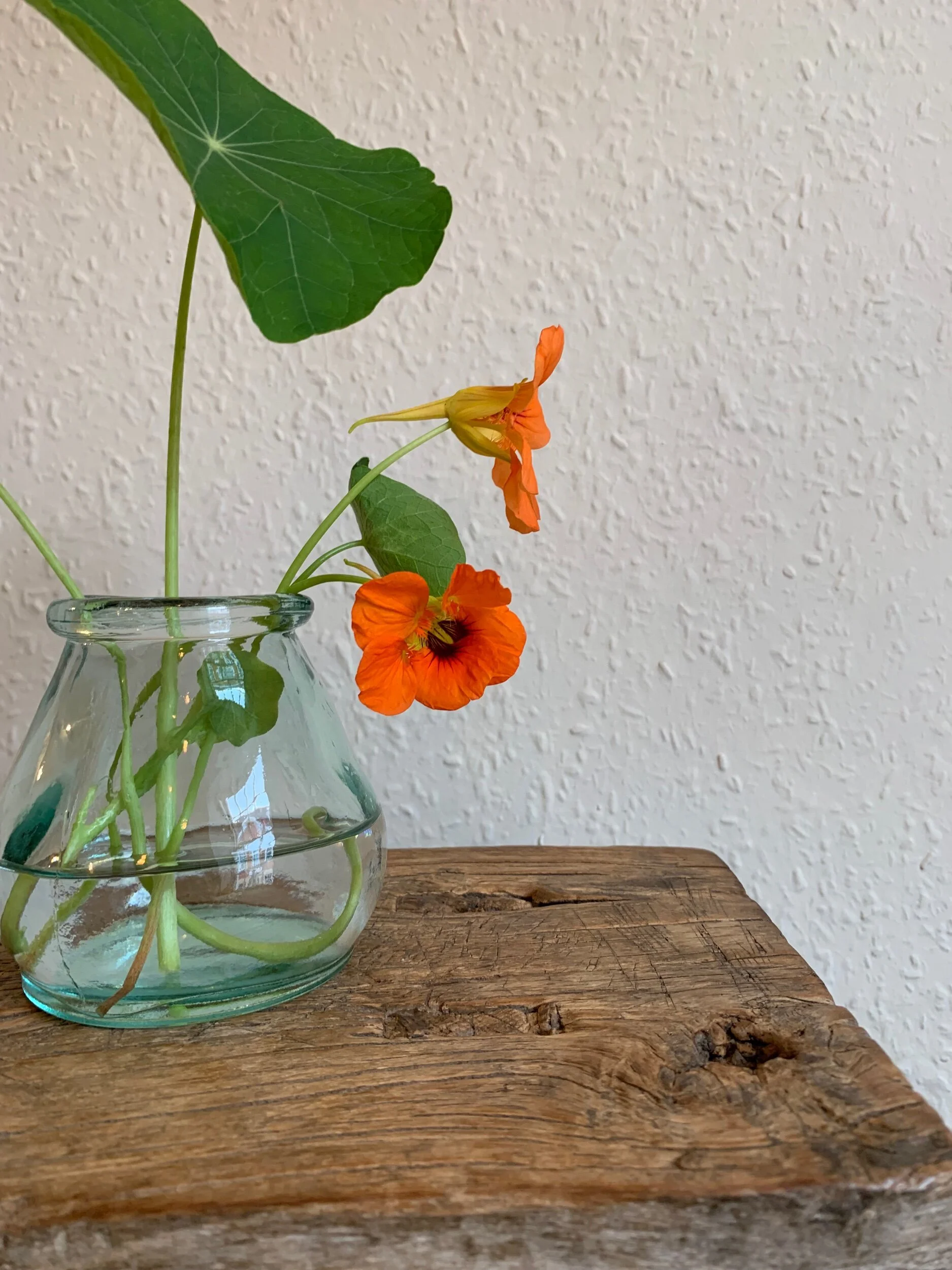 5C74890C-7A86-4E8B-9024-4F06124229A9