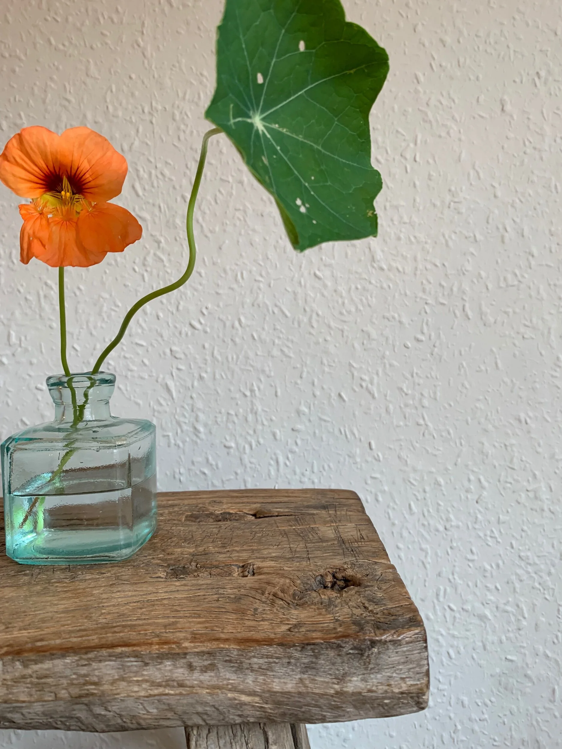 6E67FE75-822C-4013-ABA5-4A9BFC04368F