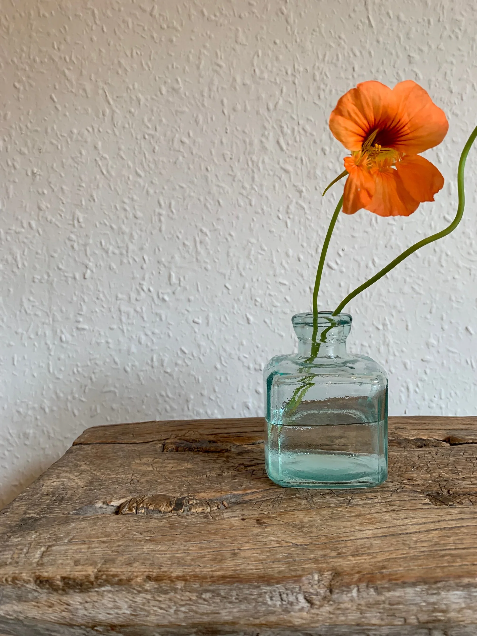 F50A12D2-209F-47D0-AF9D-78D32B94943E