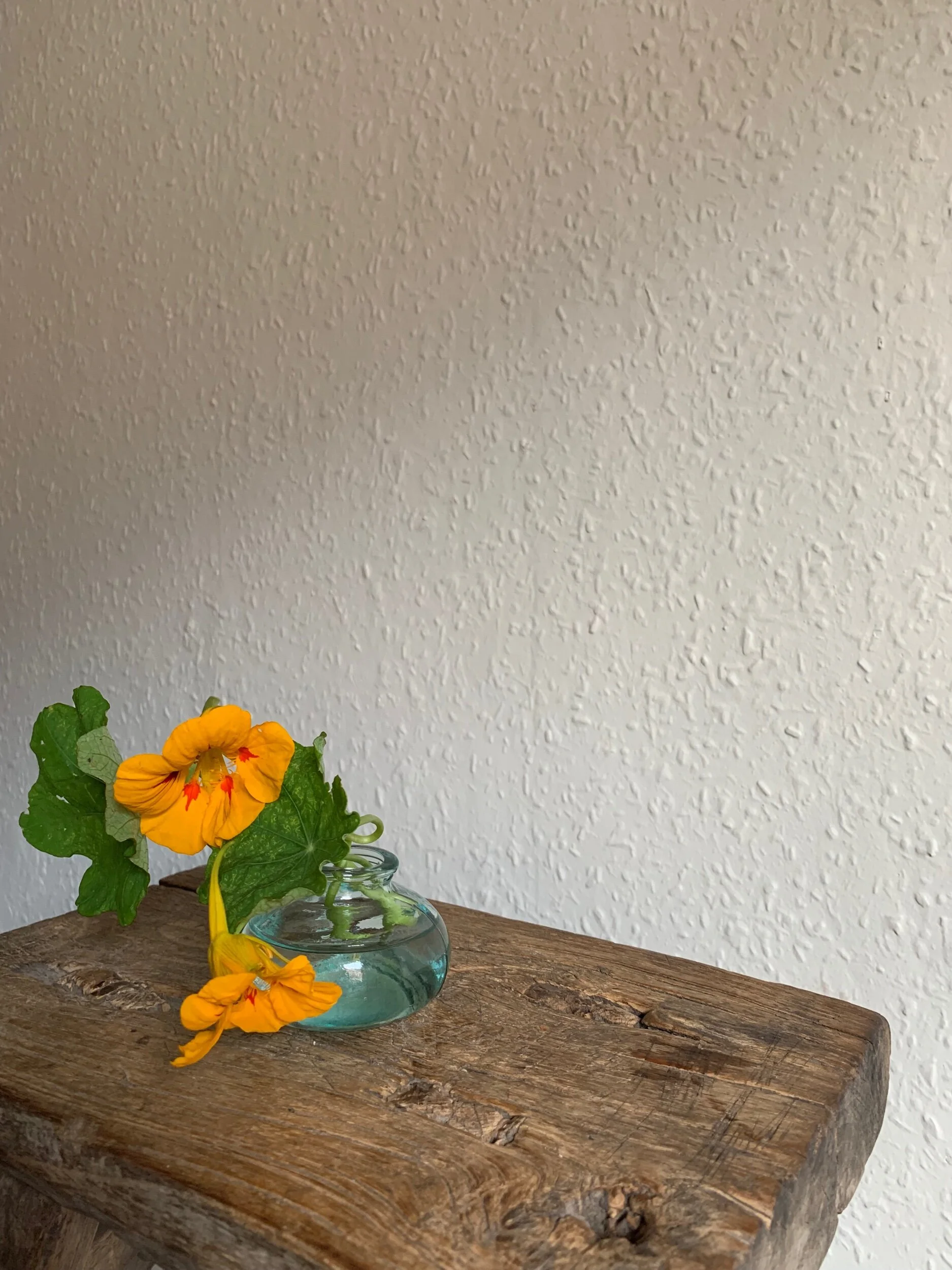 B9E033CB-A32E-496F-88DB-5D8B12DF57CF