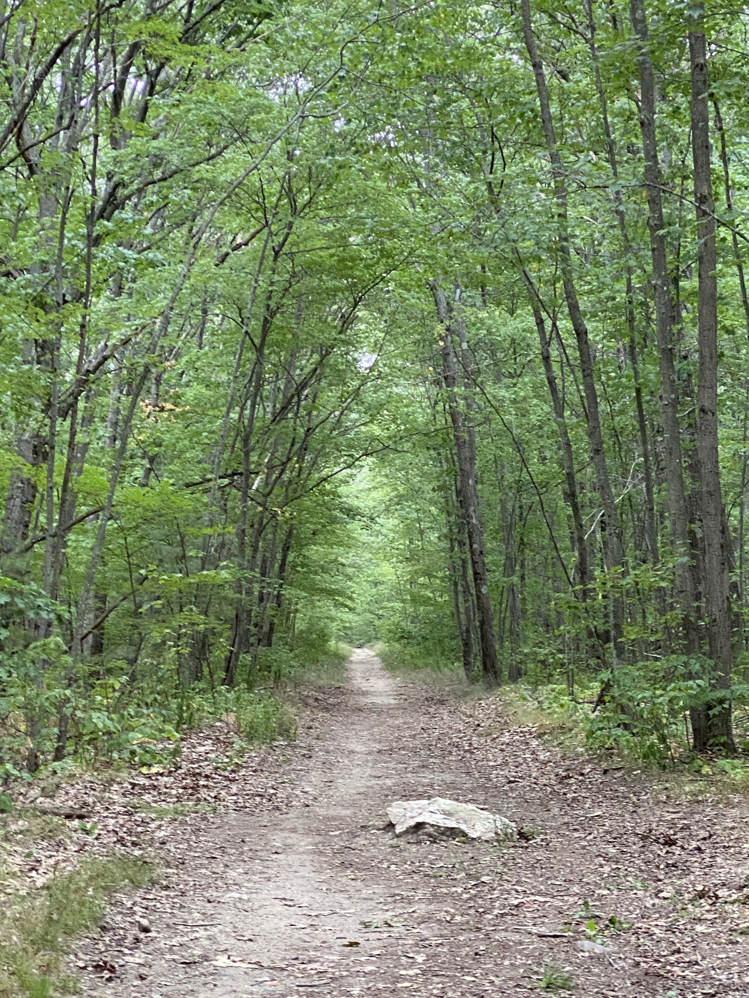 You are standing at the fork in the road of your life and you decide to take the High Road of Success.