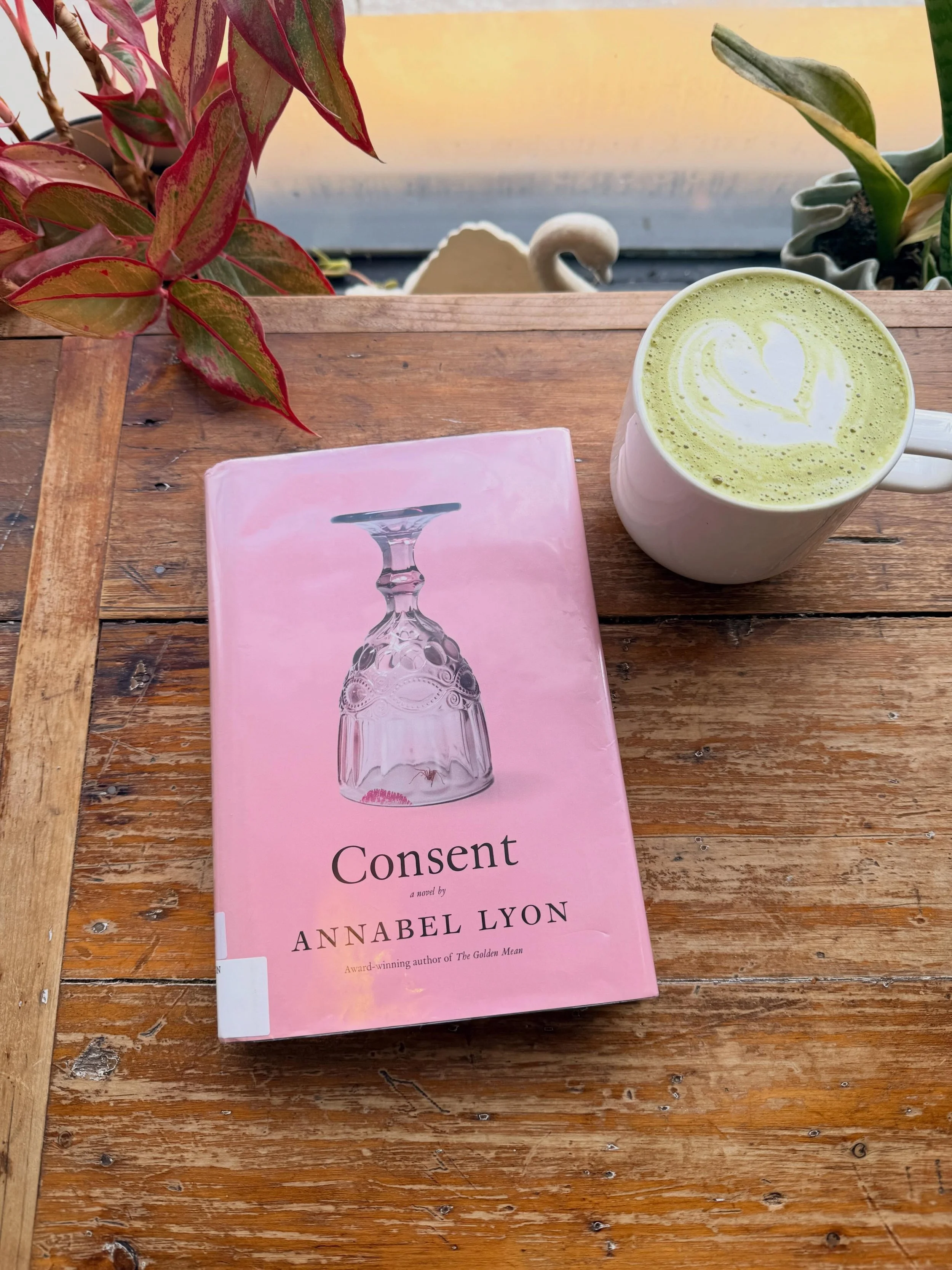 Consent follows two different storylines. First, that of a twin whose sister died. She learns more about her sister&rsquo;s life after the accident that took her away. The second follows that of a fashion loving woman who cares for her younger sister