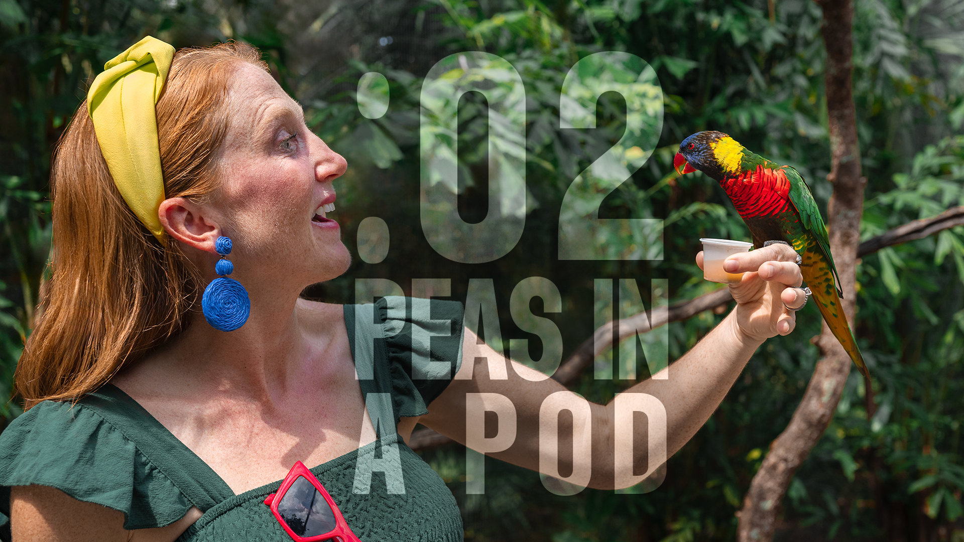 scot_coutndown_two peas.png