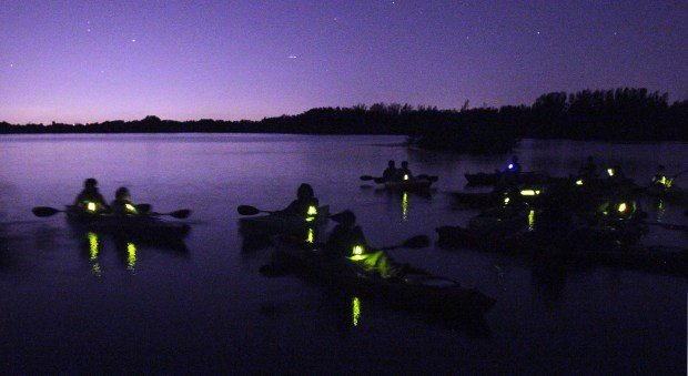 night kayak.jpeg