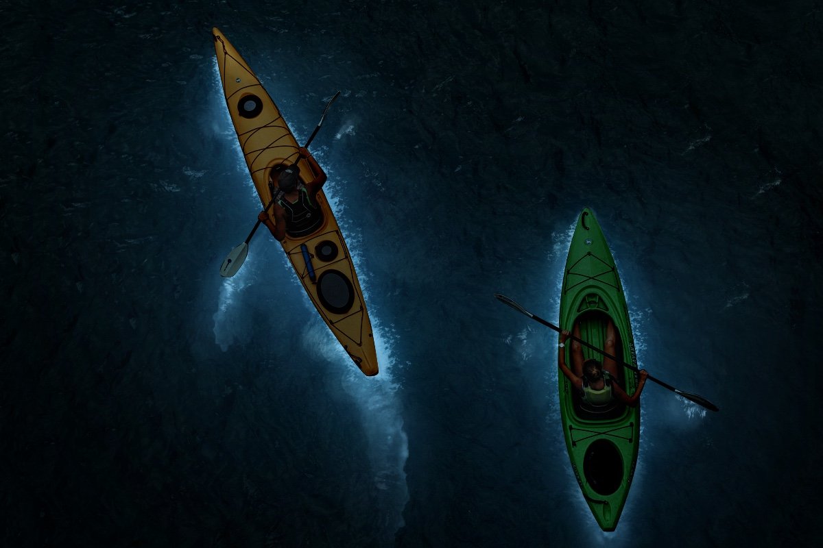 night-kayak-bioluminescence.jpeg