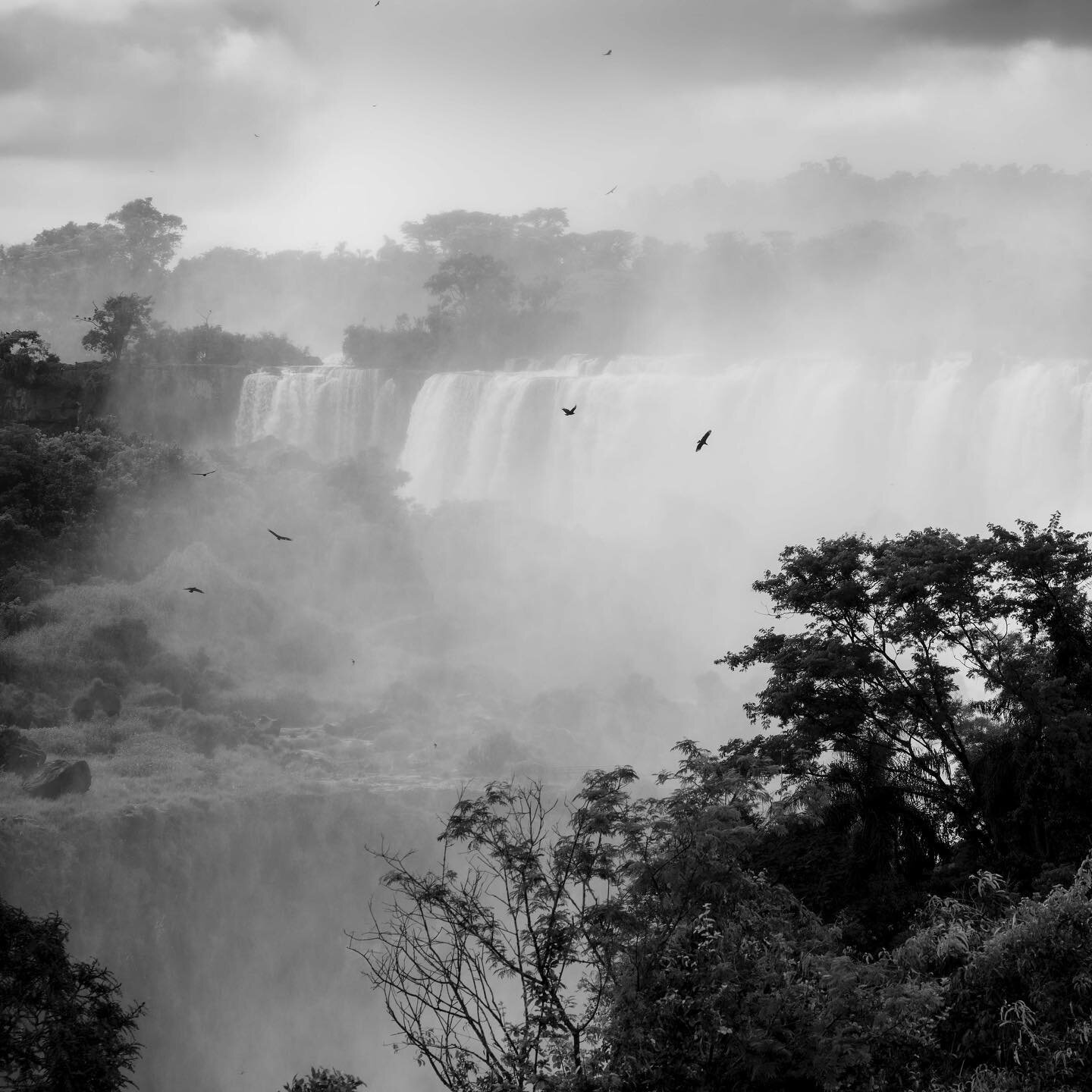 More Iguazu falls studies. 1.8million litres per second of the good stuff (water!-see my blog on my website). #waterfalls #water #shapesofwater #blackandwhite #blackandwhitephotography #monochromephotography