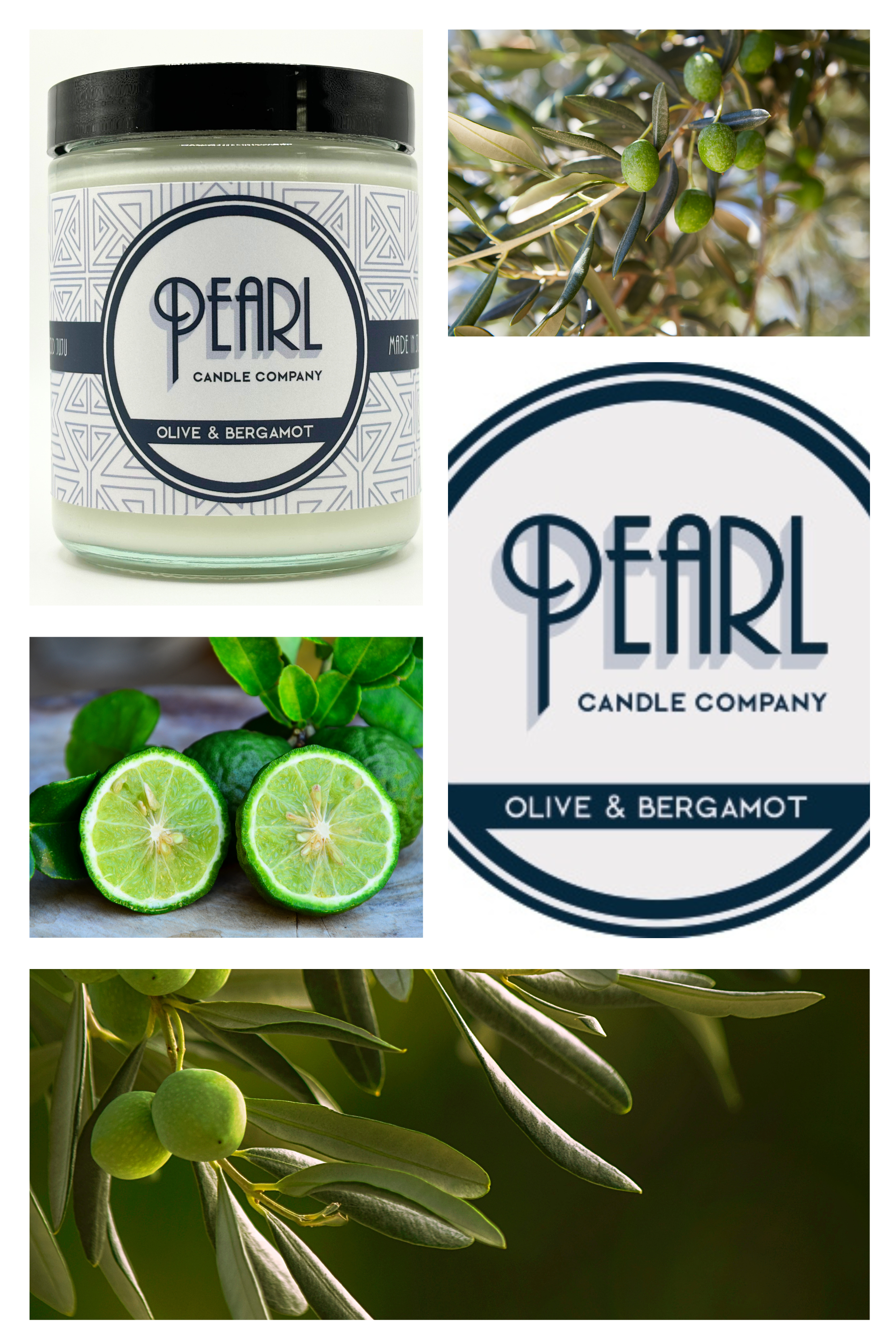 Olive and Bergamot.png