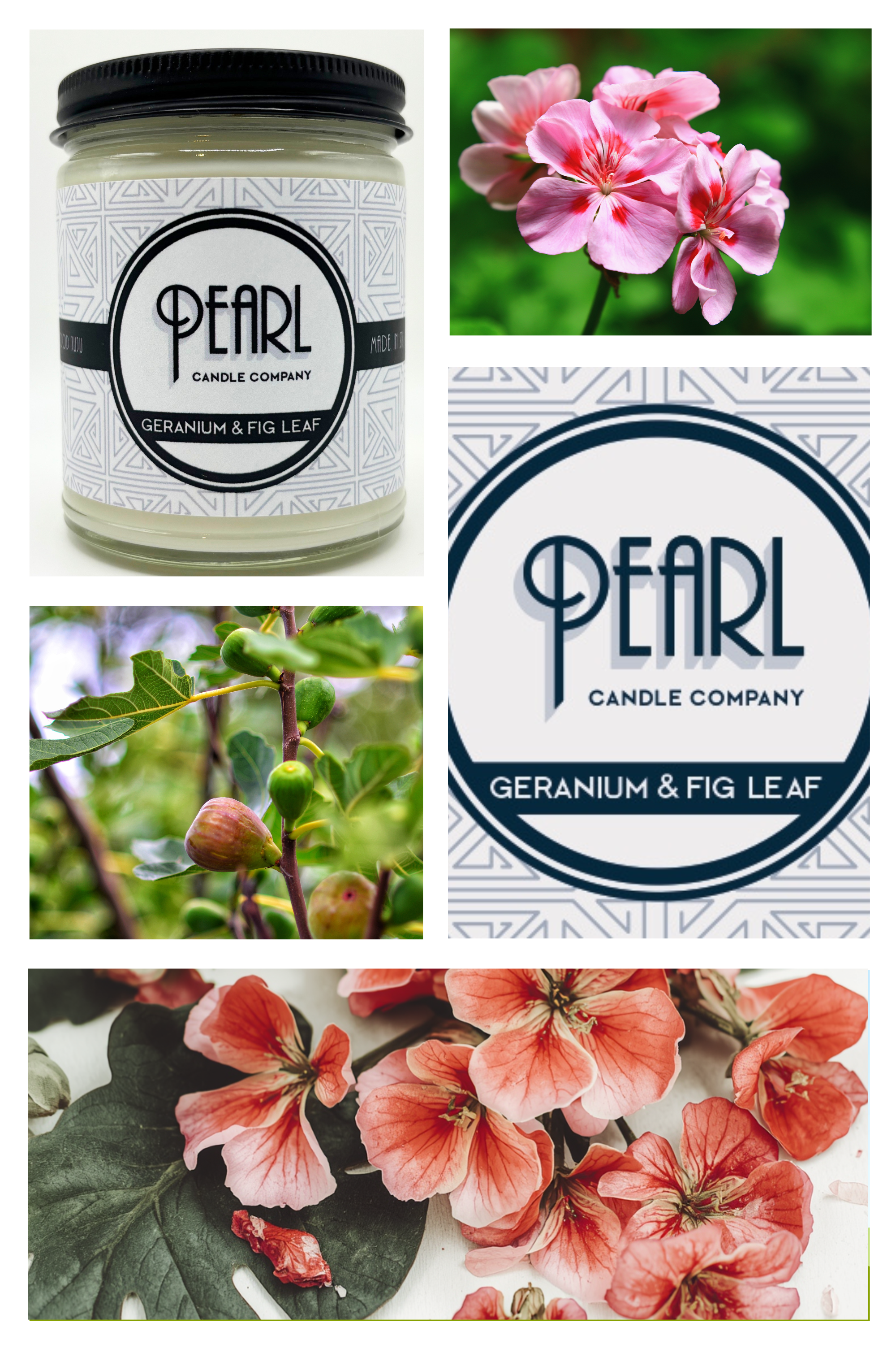 Geranium.png