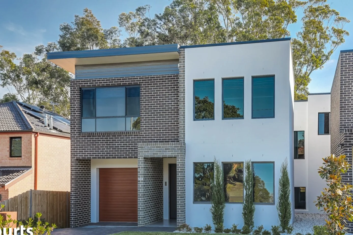 Telopea
