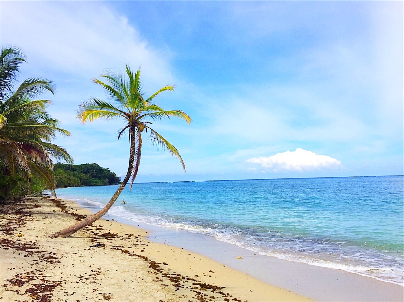 cahuita.jpg