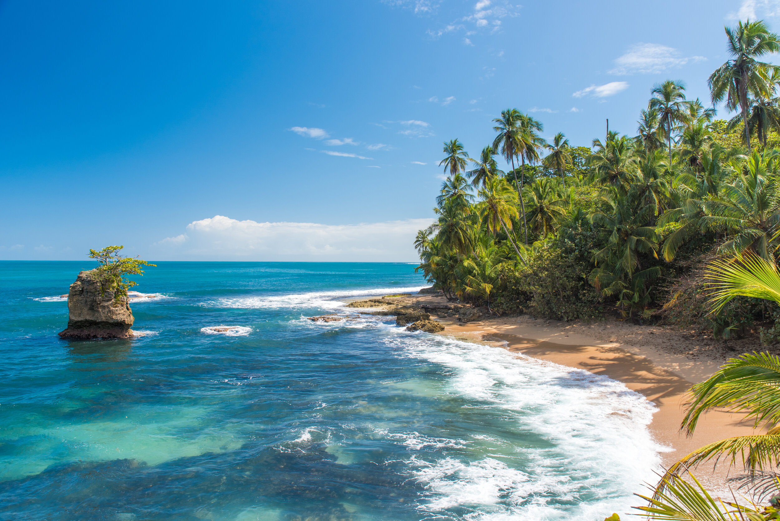 Wild-Caribbean-Beach-of-Manzanillo-Puerto-Viejo-Costa-Rica.jpg