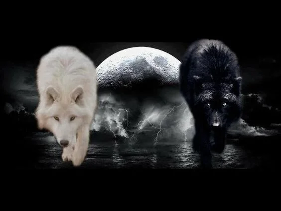 WHO DO YOU FEED?