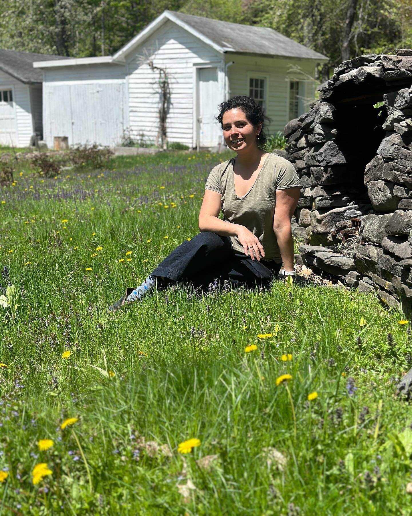 Upstate portrait on my dream lawn full of dandelion, clover, wild strawberry, chives and more! To think everyone&rsquo;s lawn could look this good, feed the bees AND us with literally NO effort. It&rsquo;s wild y&rsquo;all.